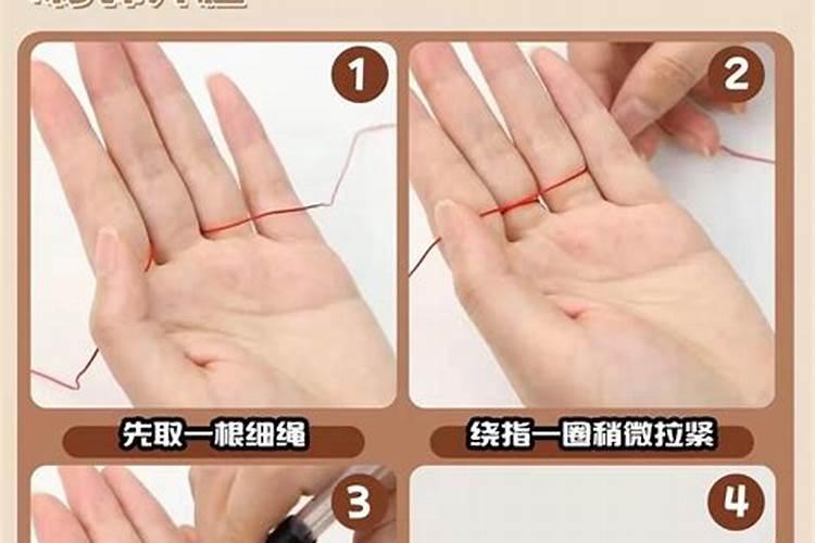 八角的栽培技术