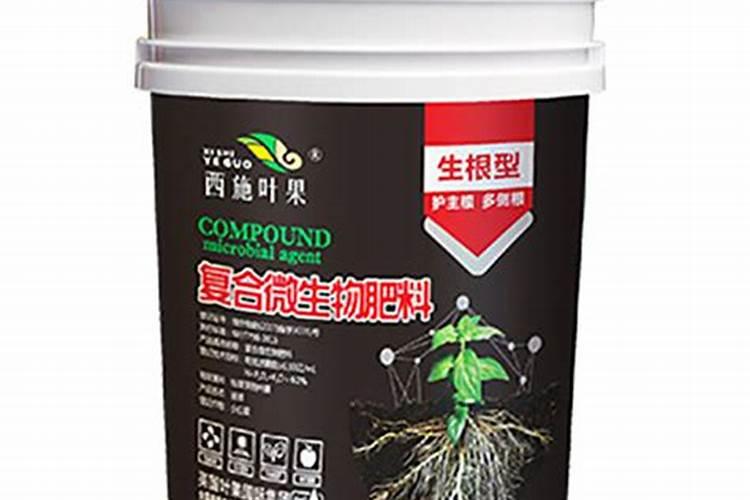 发财树怎么养护用什么肥生根 发财树如何养护用什么肥生根