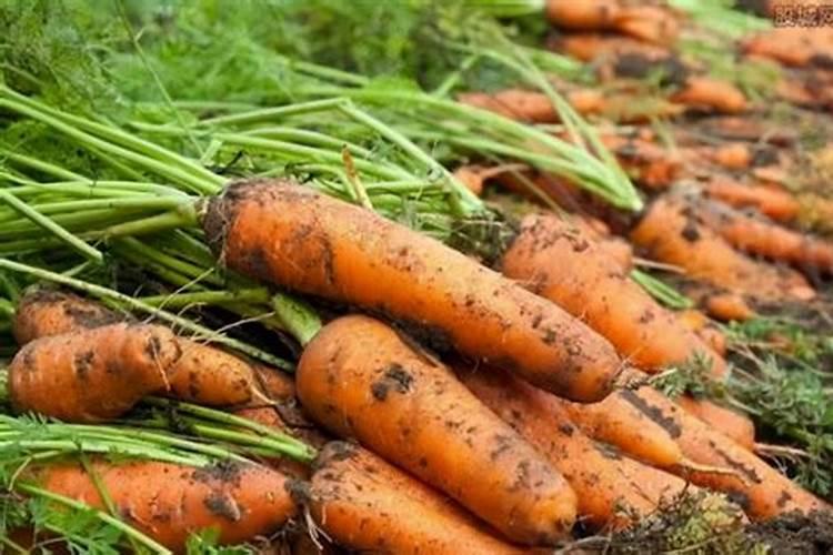 硝态氮的复合肥忌用