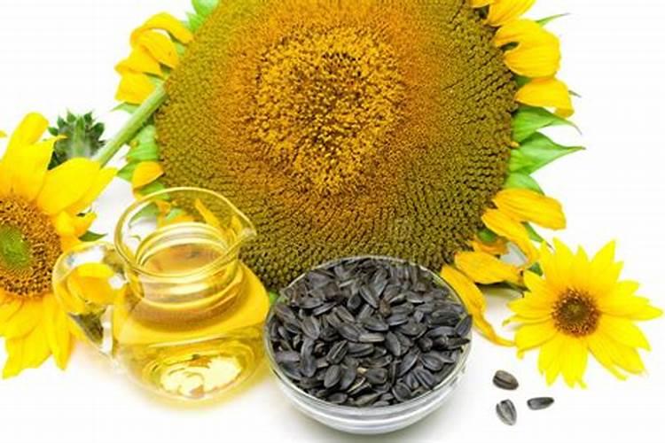 我们吃的瓜子,就是毛磕,也叫向日葵,从播种到成熟需要几个月