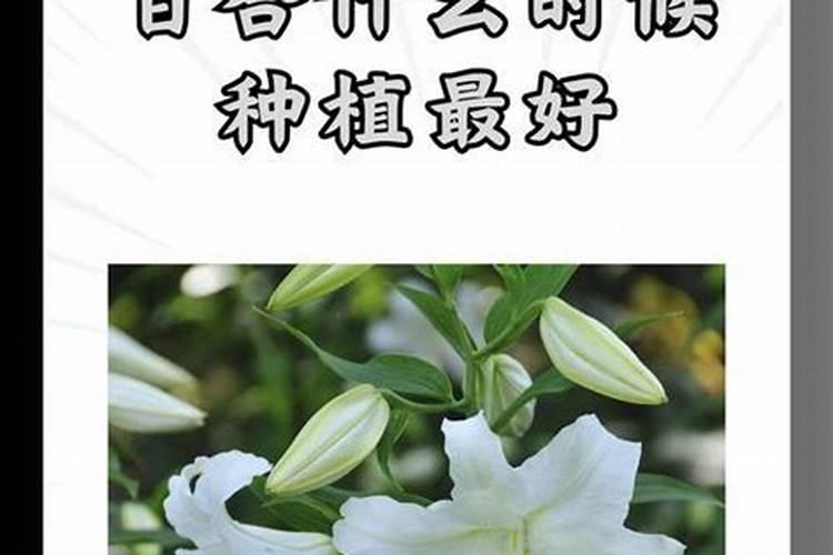 西藏日喀则市承信生态园林有限责任公司怎么样？