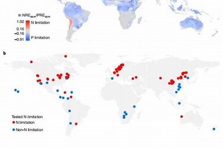 哪些植物肥料里面含丰富的磷和钾？