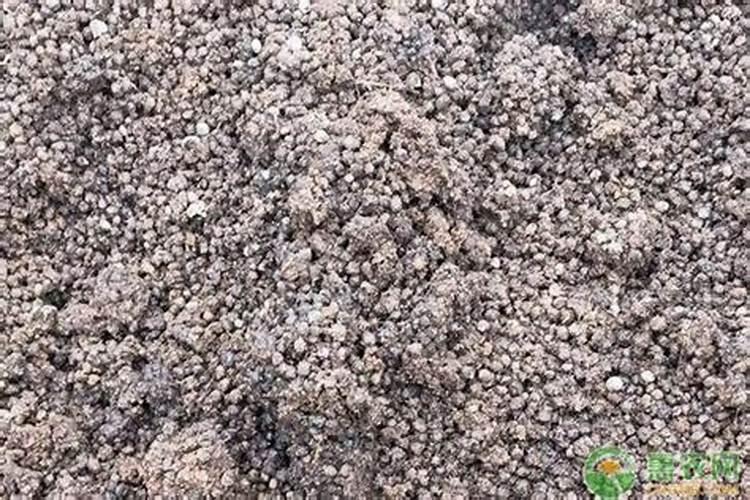 叶面肥的制作方法