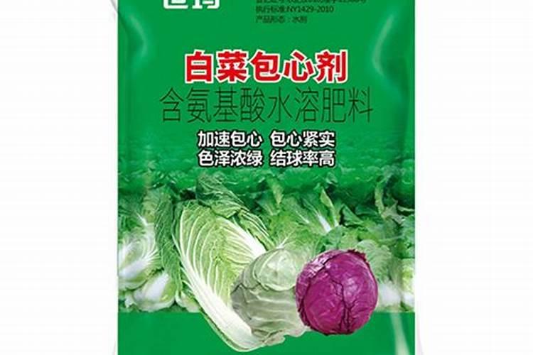 白菜到了包心期,很多人不重视这几点,包心再好也不能吃,可惜了百度知 ...