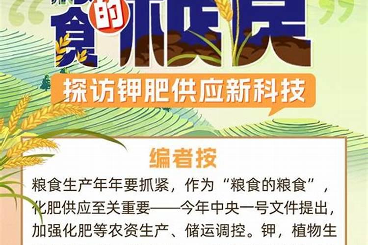 2022的主线之一:化肥(钾肥深度解读)