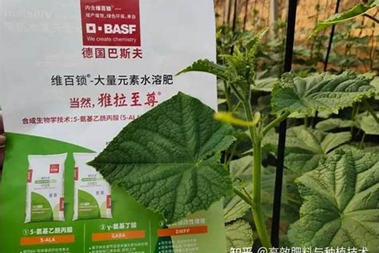 钾肥适合什么蔬菜