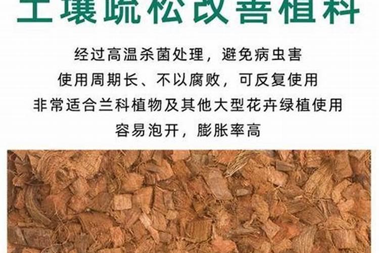 什么肥养花根、什么花肥可长根