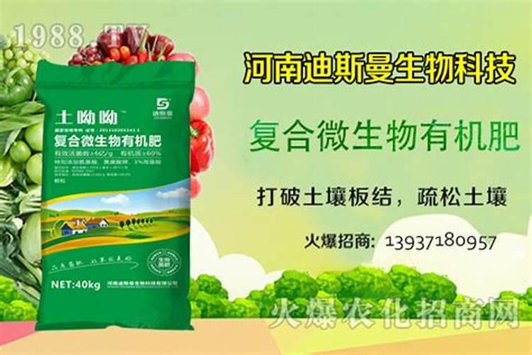 果树用什么肥料最好