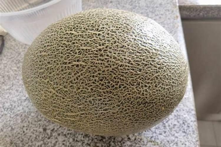 哈密瓜膨果期怎样施肥