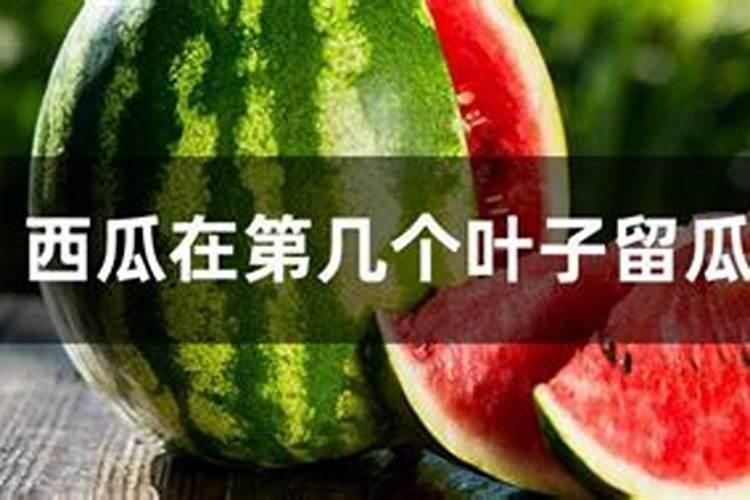 西瓜施用追肥的要点有哪些？