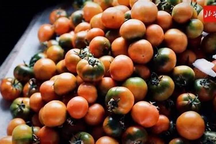 柿子树喂什么肥料最好