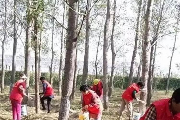 含金属离子的水溶肥有哪些？