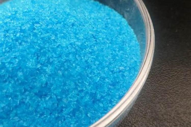 种大蒜用什么肥料好