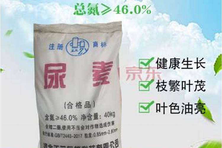 一晌地用100斤化肥价格表