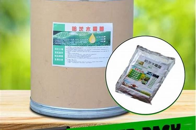 最强内吸维生物菌剂有哪些