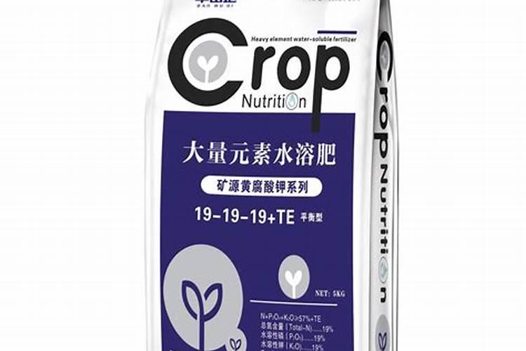 三个21的水溶肥怎么样