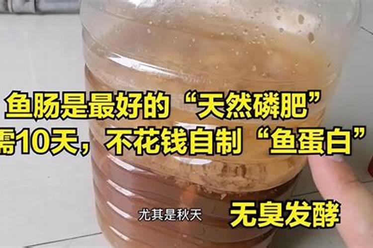 生活中哪些是有机磷钾肥