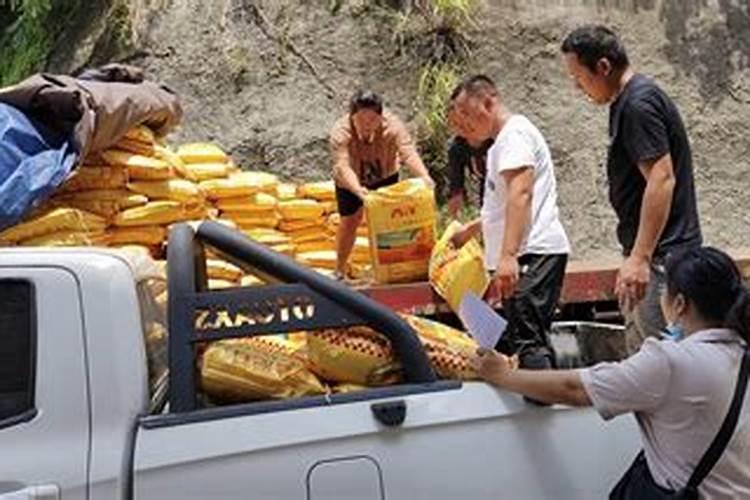 油茶开花时期应该喷何种叶面肥？