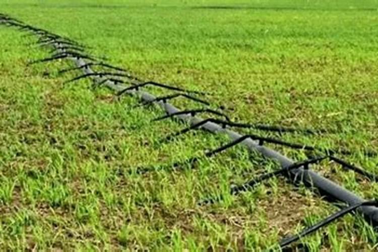 中量元素水溶肥使用方法