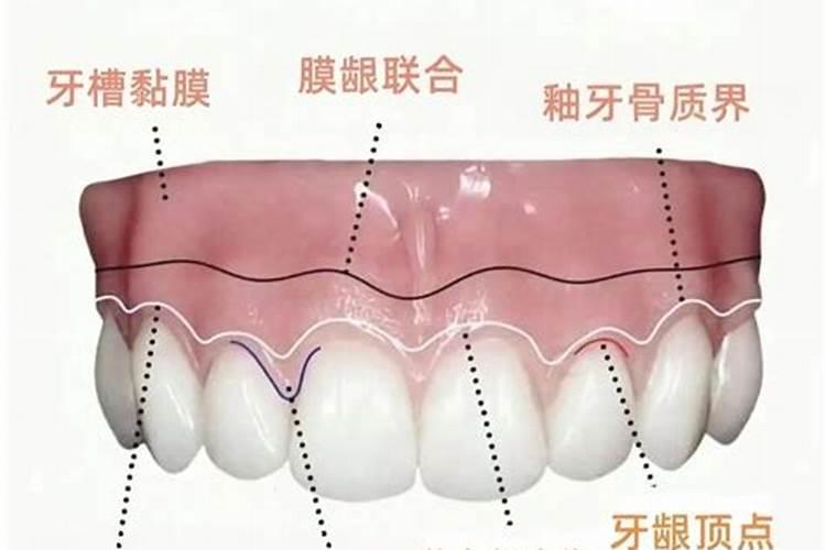 建兰什么时候用磷酸二氢钾催花(叶面施肥好还是浇灌好)