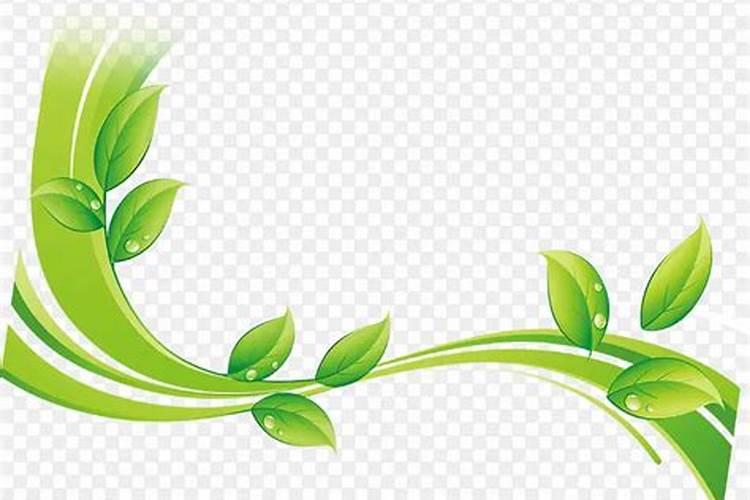 冲施肥绿色的是什么原料