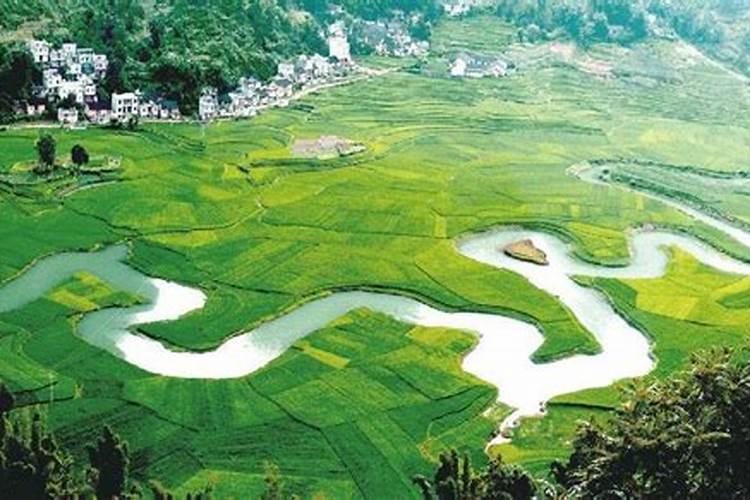 农用稀土稀土在养殖业上中的应用