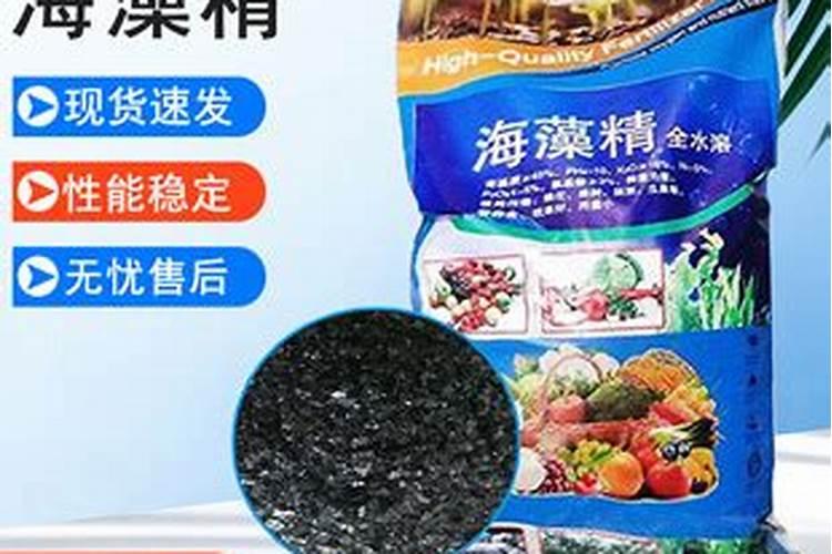 海藻水溶肥最忌三种颜色