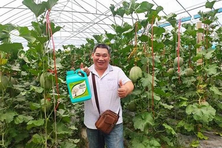 水溶肥为何被大力推广？