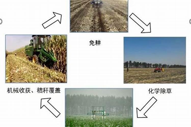 硼锌铁镁肥的用法用量