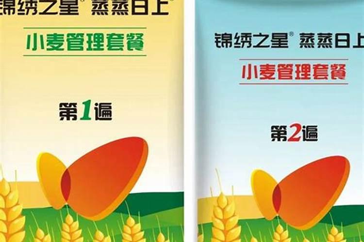 麦子灌浆期打什么叶面肥好