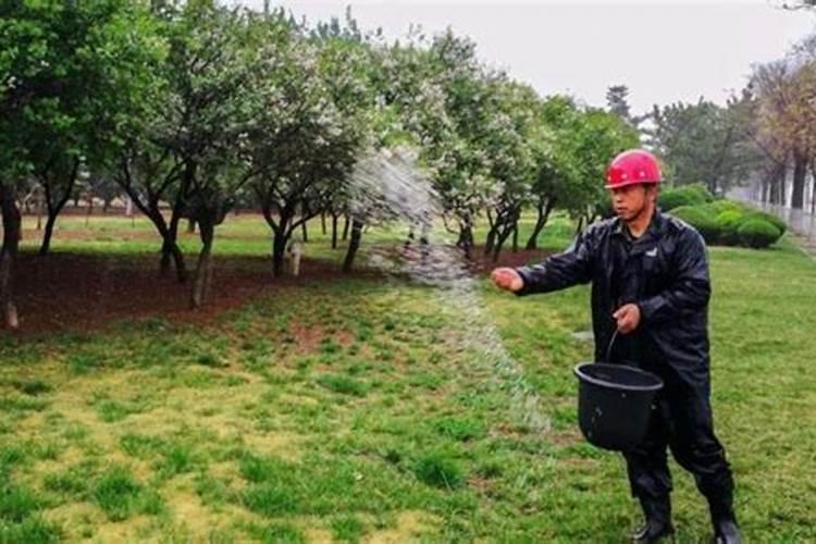 如何对园林植物进行合理施肥