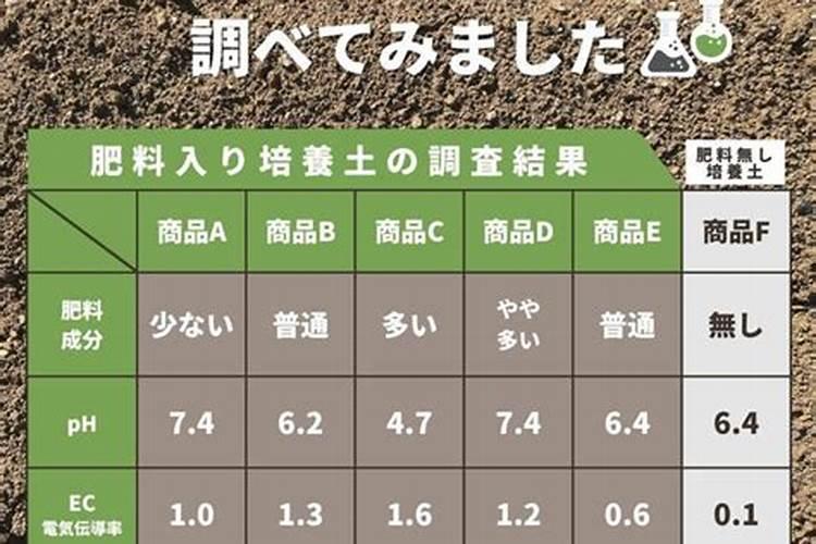 7种“垃圾水”,浇花堪比大肥水,肥的流油,养花一级棒