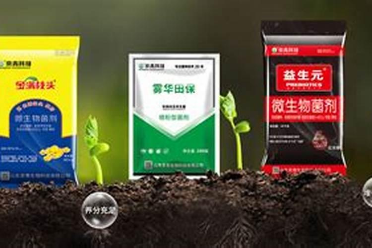 油菜底肥施用方法 油菜底施肥的技巧有什么