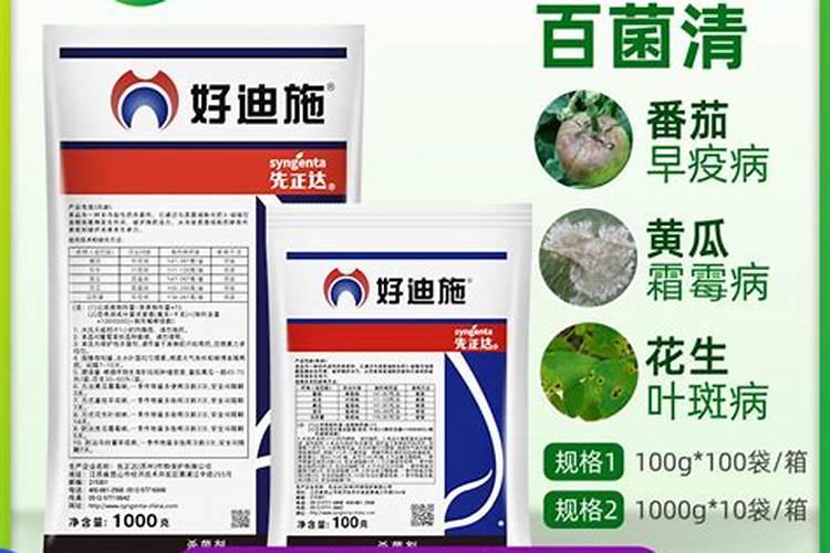 百菌清杀菌剂治什么病