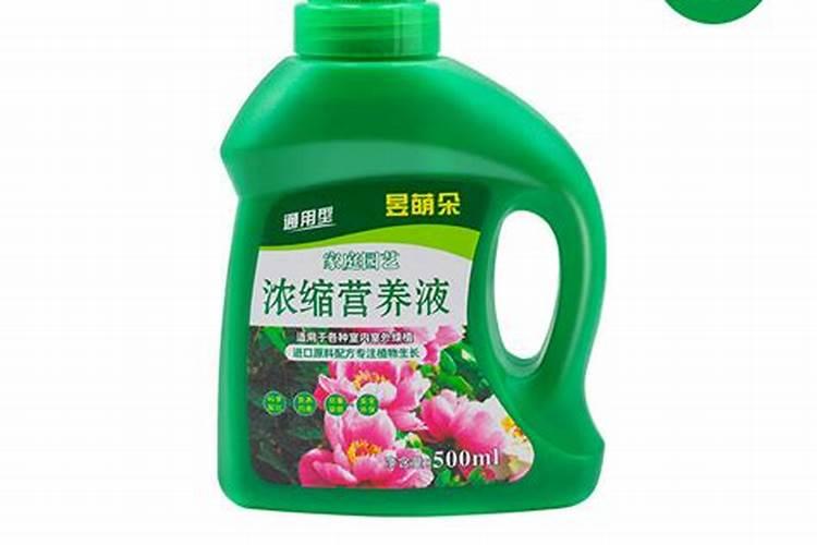 绿萝花肥用什么合适 肥料制作与使用方法