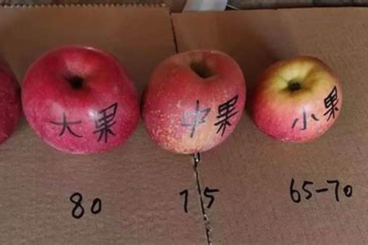 苹果树种植出现小叶病怎么办