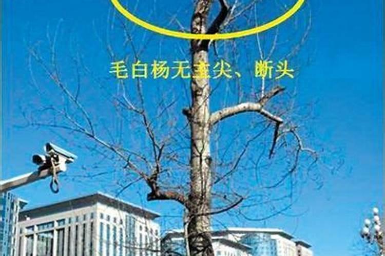 果树后期怎么施肥？