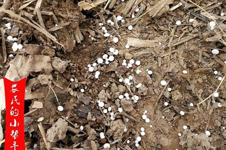 种小麦肥料每一亩是多少