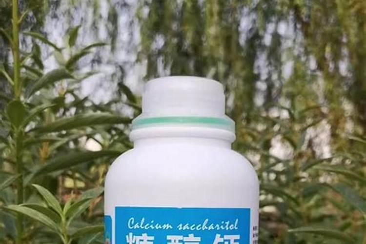 如何盆栽广柑树