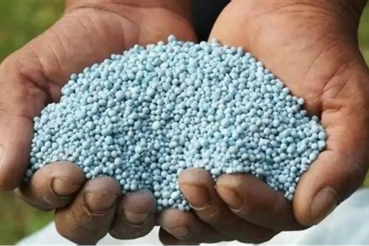 新疆最大的硫酸钾生产基地在哪里呀