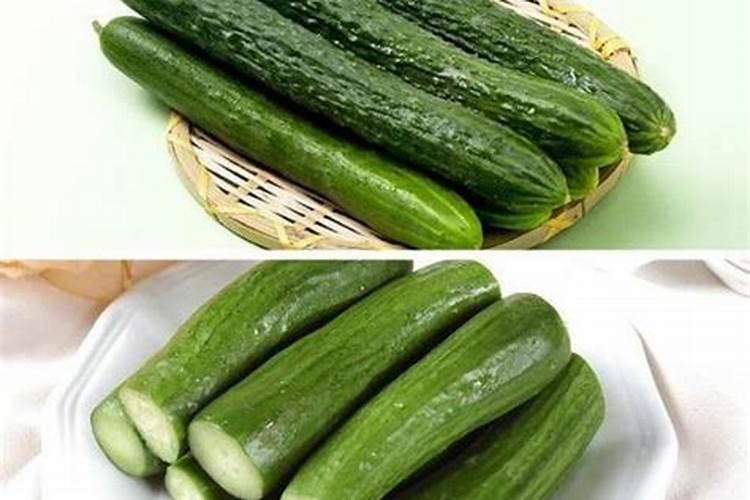 黄瓜最忌什么肥料