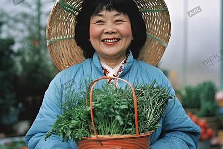 西红柿用什么肥料好