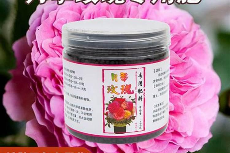 美乐棵月季液肥可以浇别的花吗？