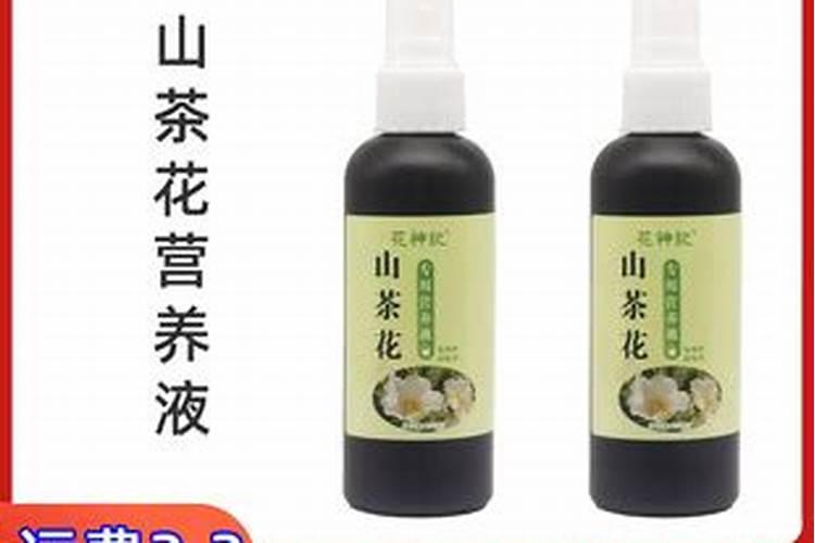 茶花开花期间施什么肥最好