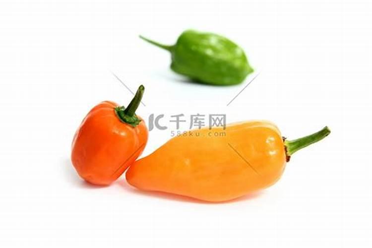 辣椒结果用什么肥料最好