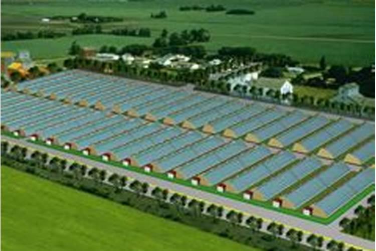 怎样进行引种？应注意哪些问题？