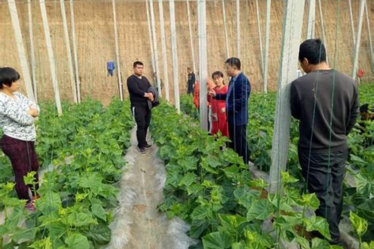 有关垃圾的资料