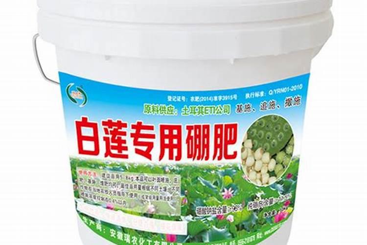 白莲种植需要怎么样施肥