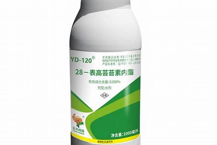 28表高芸苔素一桶水兑几毫升