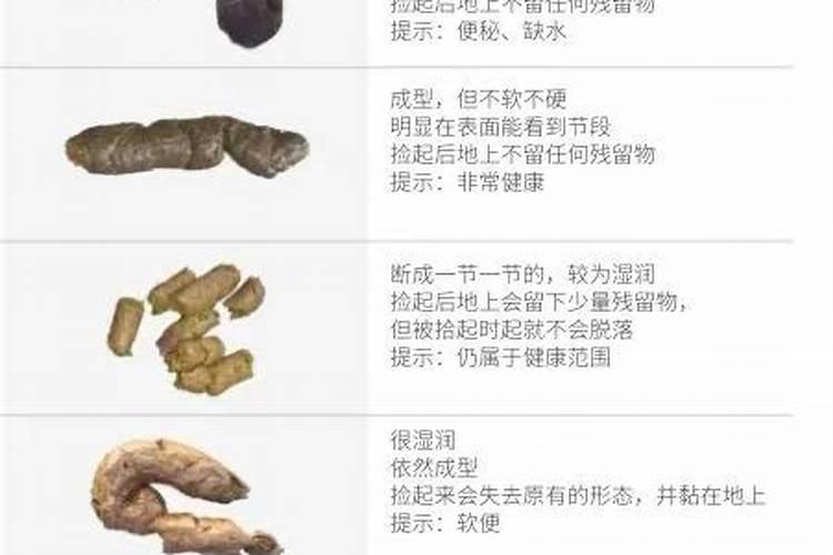 粪便晒干后烧成灰有什么作用
